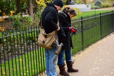 DSC_0605 (Large).JPG